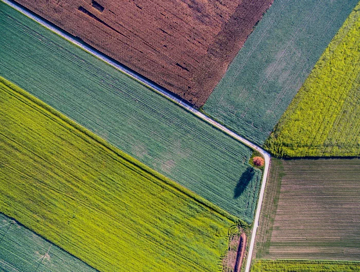 Image of field from above